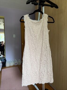 Adrianna Papell Pale Pink Sleeveless Lace Midi Dress Never Worn